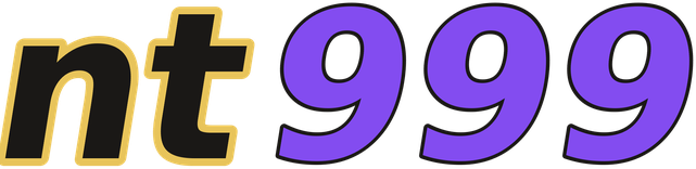 nt999 logo